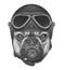 Portrait of French Bulldog with Helmet.