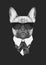 Portrait of French Bulldog in suit.