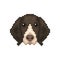 Portrait of a French Pointing Dog in pixel art style.