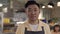 Portrait of friendly asian waiter in apron posing at cafe