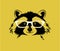 Portrait of a friendly raccoon wearing glasses