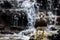 Portrait of a fuegian steamer duck near a waterfall