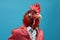 Portrait of a funky anthropomorphic rooster in a red suit jacket on a seamless blue background, space for text