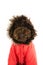 Portrait funny dog wearing a red fluffy warm coat or anorak for autumn or winter. Cold temperatures concept