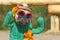 Portrait of funny French Bulldog dog dressed up with cactus costume with fake arms and orange fowers wearing summer straw hat