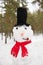 Portrait of funny handmade snowman with top hat, pipe and red scarf. Winter forest background