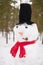 Portrait of funny handmade snowman with top hat, pipe and red scarf. Winter forest background
