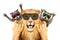 Portrait of a funny lion and two raccoon in sunglasses, showing a rock gesture