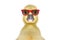 Portrait of a funny little gosling in red sunglasses