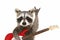 Portrait of a funny raccoon with electric guitar, showing a rock gesture