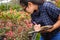 Portrait of Gardener Asian woman at work in greenhouse with notebook examines the growing flowers on the farm and diseases in