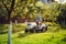 Portrait of gardener smiling and mowing lawn, cutting grass in garden