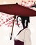 Portrait of a geisha with umbrella