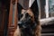 Portrait of a German shepherd in the background of the house Ai generated