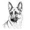 portrait German Shepherd Dog ai generated