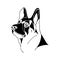 Portrait German Shepherd dog - black and white vector illustration