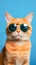 Portrait of a ginger cat wearing sunglasses on a blue background.