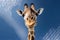 portrait of giraffe over blue sky.