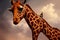 Portrait of a giraffe. Safari, colorful magic giraffe, cartoon style painting. Generative ai art illustration