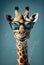 Portrait of a giraffe wearing sunglasses, AI Generative.