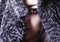 Portrait girl, bust in fur coat, brown eye