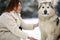 Portrait of a girl next to a dog Alaskan Malamute for a walk