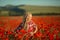 Portrait of a girl on the street with a wreath of poppy flowers on the head