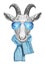Portrait of Goat with scarf and mirrored sunglasses.