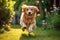 Portrait of a golden retriever dog jumping in the garden, Golden Retriever dog playing with a ball in the garden, AI Generated