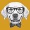 Portrait of Golden Retriever with glasses and bow tie.