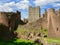 Portrait of Goodrich castle