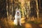 Portrait of gorgeous, happy, free and prideful Beige and white dog breed Siberian Husky sitting in the bright autumn forest at