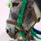 Portrait of a gray donkey in bridle