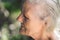 Portrait of a gray-haired adult grandmother against the background of nature