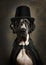 Portrait of a great Dane in a black Cape and bowler hat