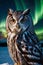 Portrait of a Great Horned Owl Amidst Northern Lights and Aurora Borealis