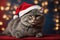 portrait Grey cat dressed in Santa Claus hat. ai generative