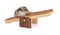 Portrait of a grey hamster on a wooden swing