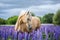 Portrait of a grey horse among lupine flowers.