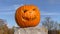 PORTRAIT: Halloween pumpkin decoration with evil laughing face