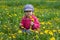 Portrait of happy caucasian child of four years old gathering yellow dandelions on meadow