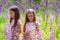 Portrait of happy identical twin sisters with long hair showing different emotions in beautiful dresses at sunny nature in grass