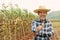 Portrait happy mature older man is smiling. Old senior farmer with white beard thumb up feeling confident.