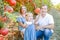 Portrait of happy parents with cute little blondy baby girl daughter picking ripe pomegrate fruit in the garden. Harvest and famil