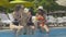Portrait of happy relaxed tourists sitting on poolside with drinking glasses and splashing water with legs. Wide shot of