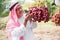 Portrait of happy senior Muslim man farmer owner standing holding and looking at fresh red dates palm bunch from it tree outdoors