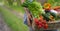 Portrait of a happy young farmer holding fresh vegetables in a basket. On a background of nature The concept of biological, bio pr