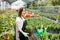 Portrait of a hardworking european farmer woman in a greenhouse holding box with flower pots. Home gardening, love of plants and