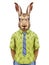 Portrait of Hare in summer shirt with tie.