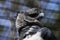 Portrait of Harpy Eagle,